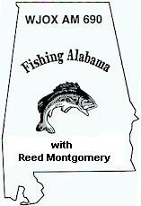 logo.jpg (12232 bytes)