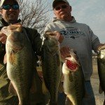 More Big Bass