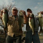More Big Bass