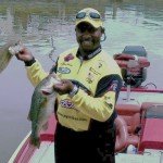 Bass