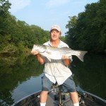 Wilson Lake Striper