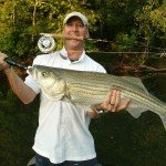 Striped Bass