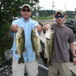 Stripes and Bass