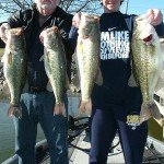 Big Bass 024