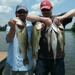 BASS 029