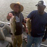 Lake Bass