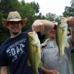 Summer Bass