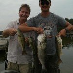 Fish Cats 003 1