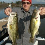 Sale and Fish 007 11