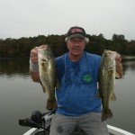 Largemouth bass 005