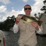 More Bass 024