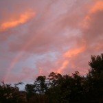 Sunrise and bass 003